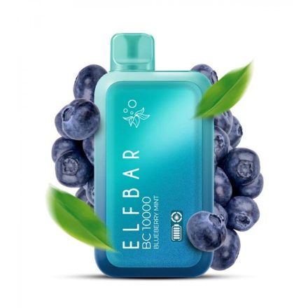 ELF BAR BC10000 - BLUBERRY MINT 2% - RECHARGEABLE